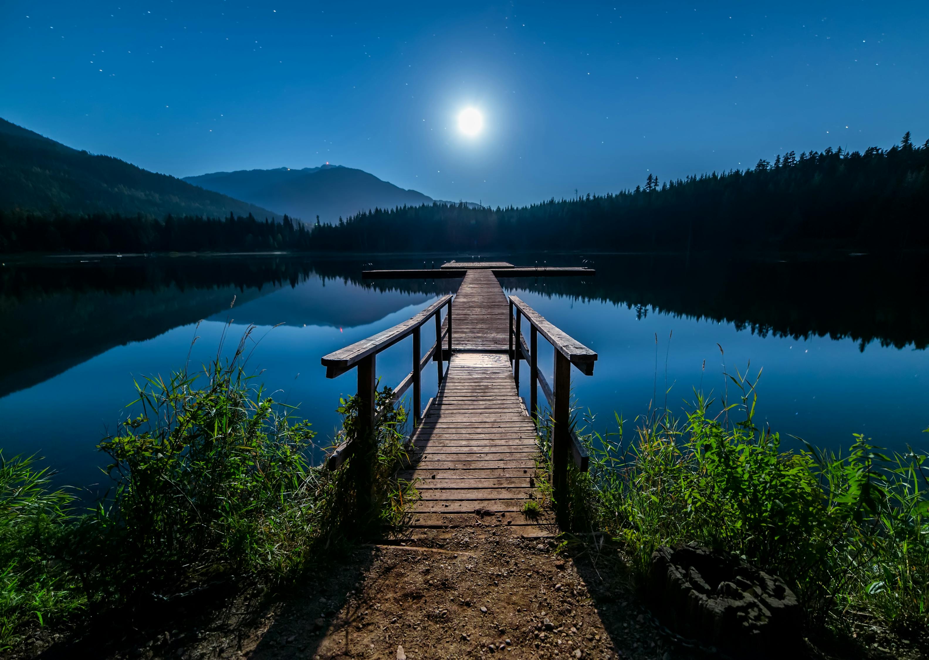 Brown Wooden Dock