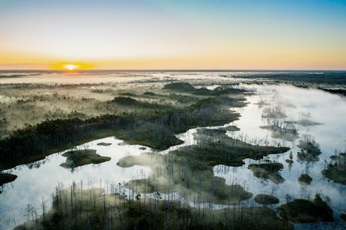 Marsh at Dawn in Birds Eye View