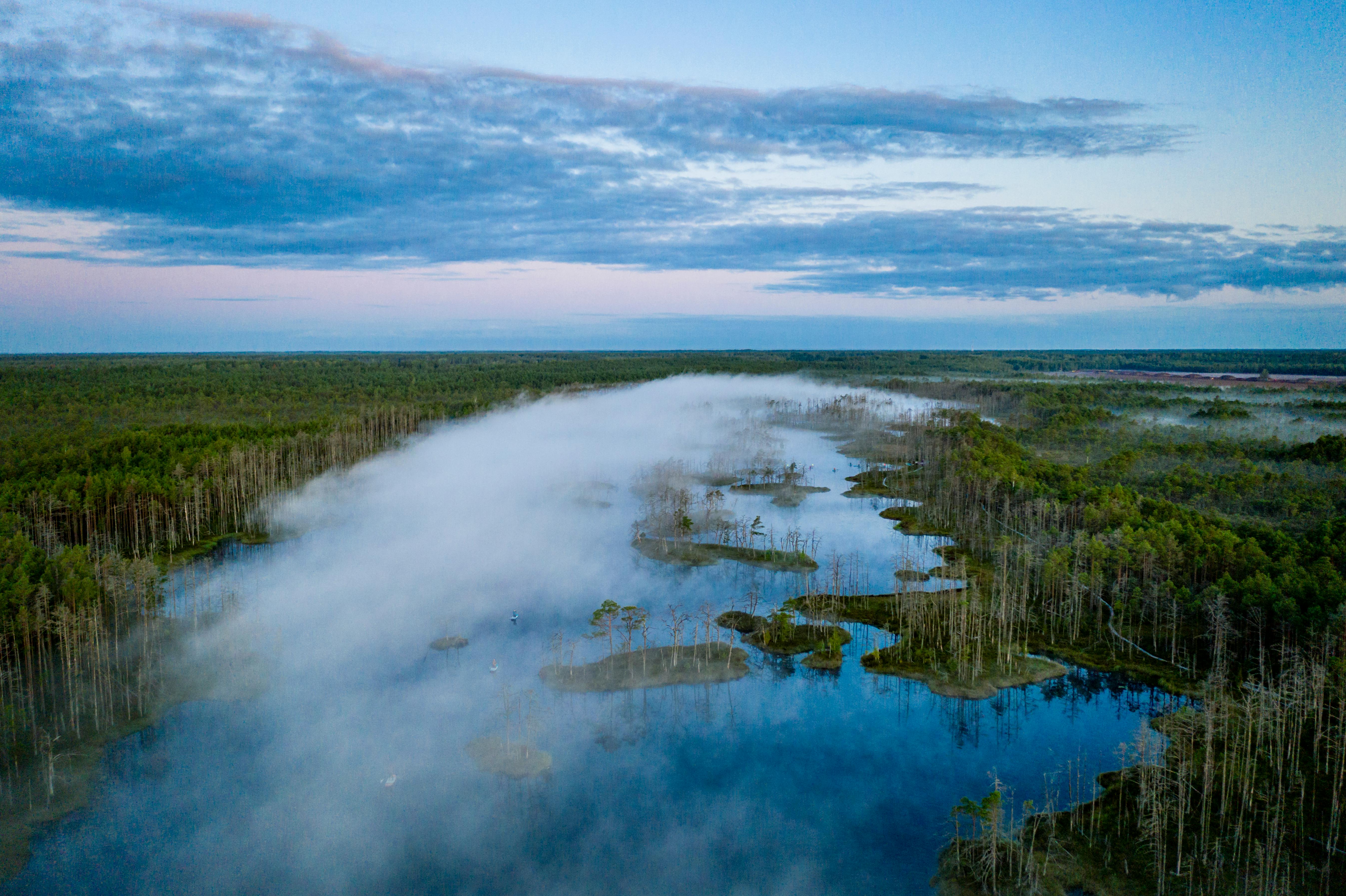 A stunning aerial view of misty wetlands and forests in Latvia at dawn, capturing serene natural beauty.