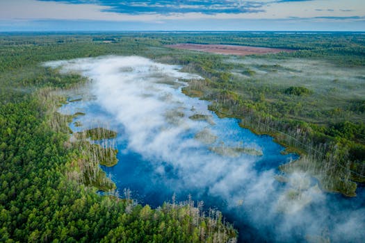 Stunning aerial view of a Latvian misty landscape with forests and lakes at sunrise, showcasing nature's beauty.