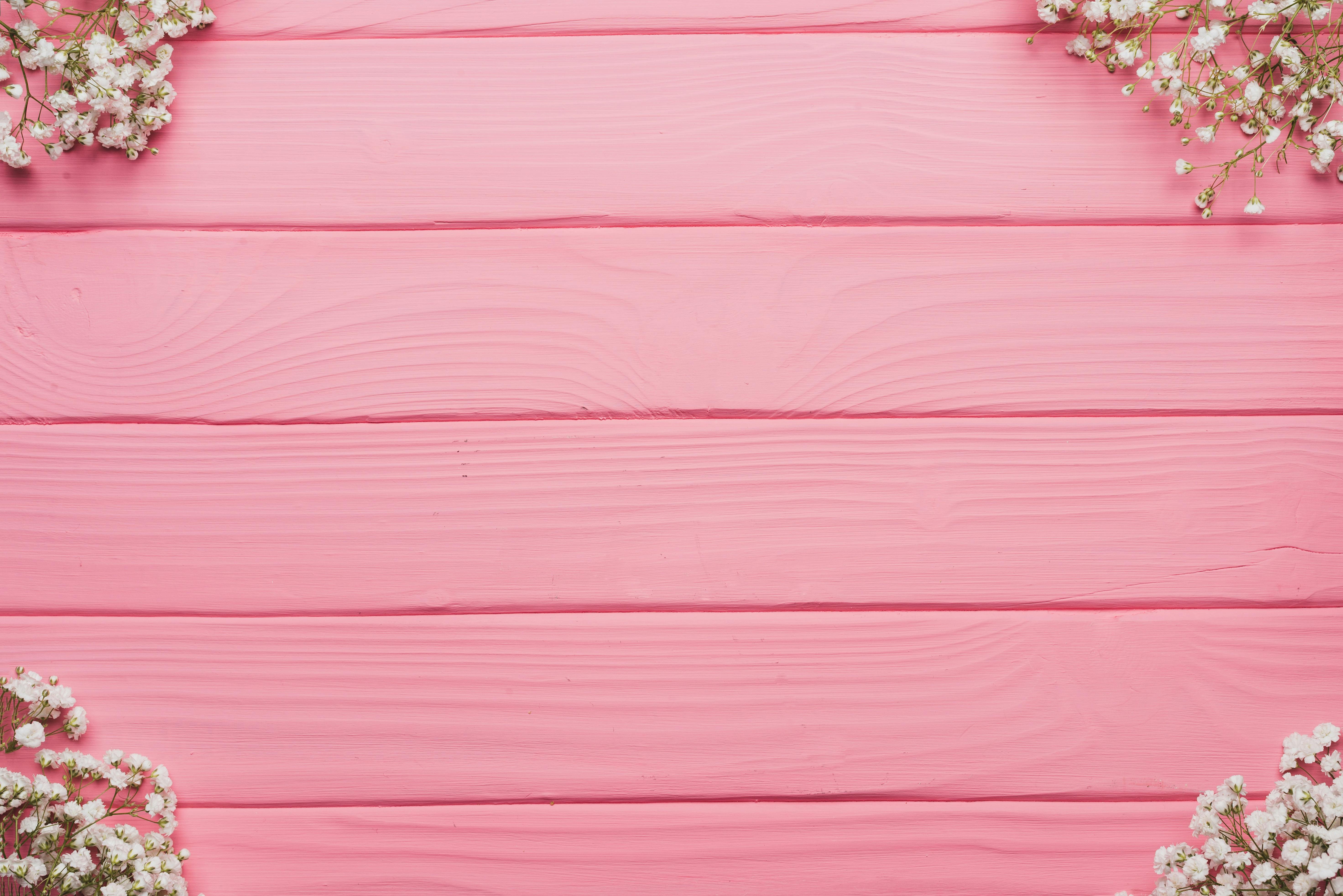 Premium Photo  Blooming fluffy pink peony flower big bud mock up on  elegant minimal pastel blue background creative floral composition stunning  botany wallpaper or vivid greeting card