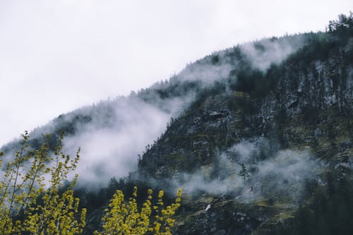 Kostenloses Stock Foto zu bäume, berg, extremen gelände