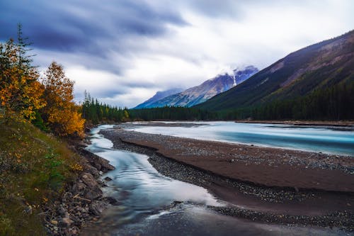 Green Trees Near Lake Under White Clouds and Blue Sky