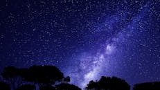 夜空中，广阔的银河系和树木的剪影构成了一幅美丽的景象