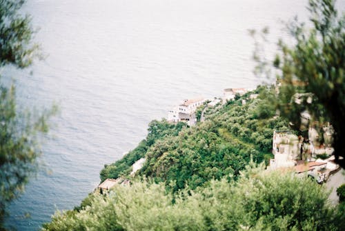 ağaçlar, binalar, deniz kıyısı içeren Ücretsiz stok fotoğraf