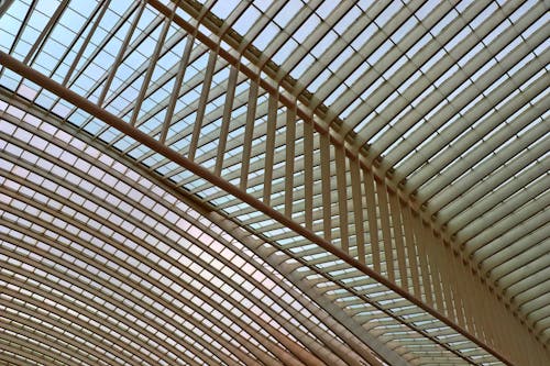 Architectural Photography of Ceiling