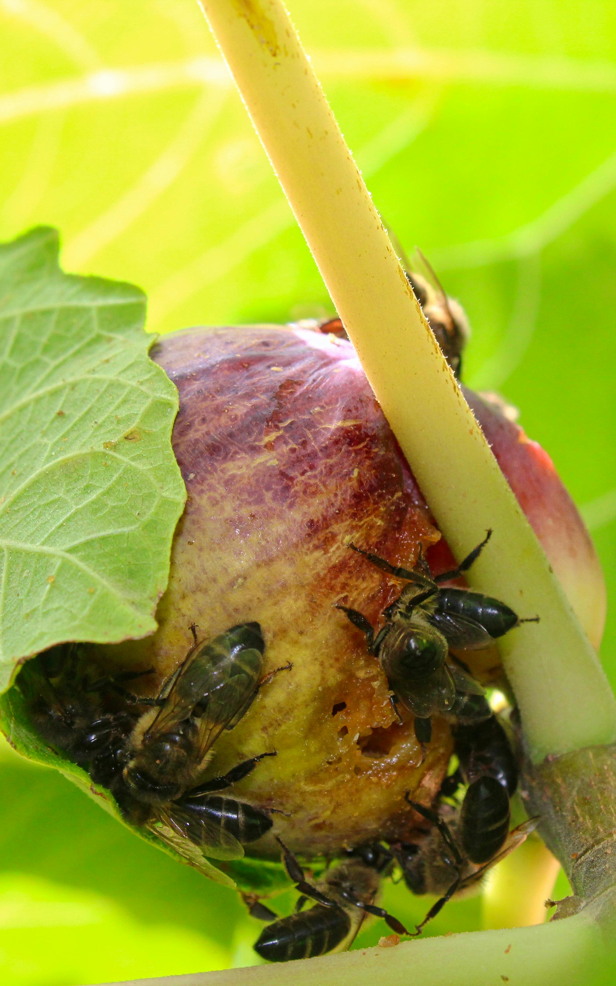 Persona estirándose en una silla de oficina