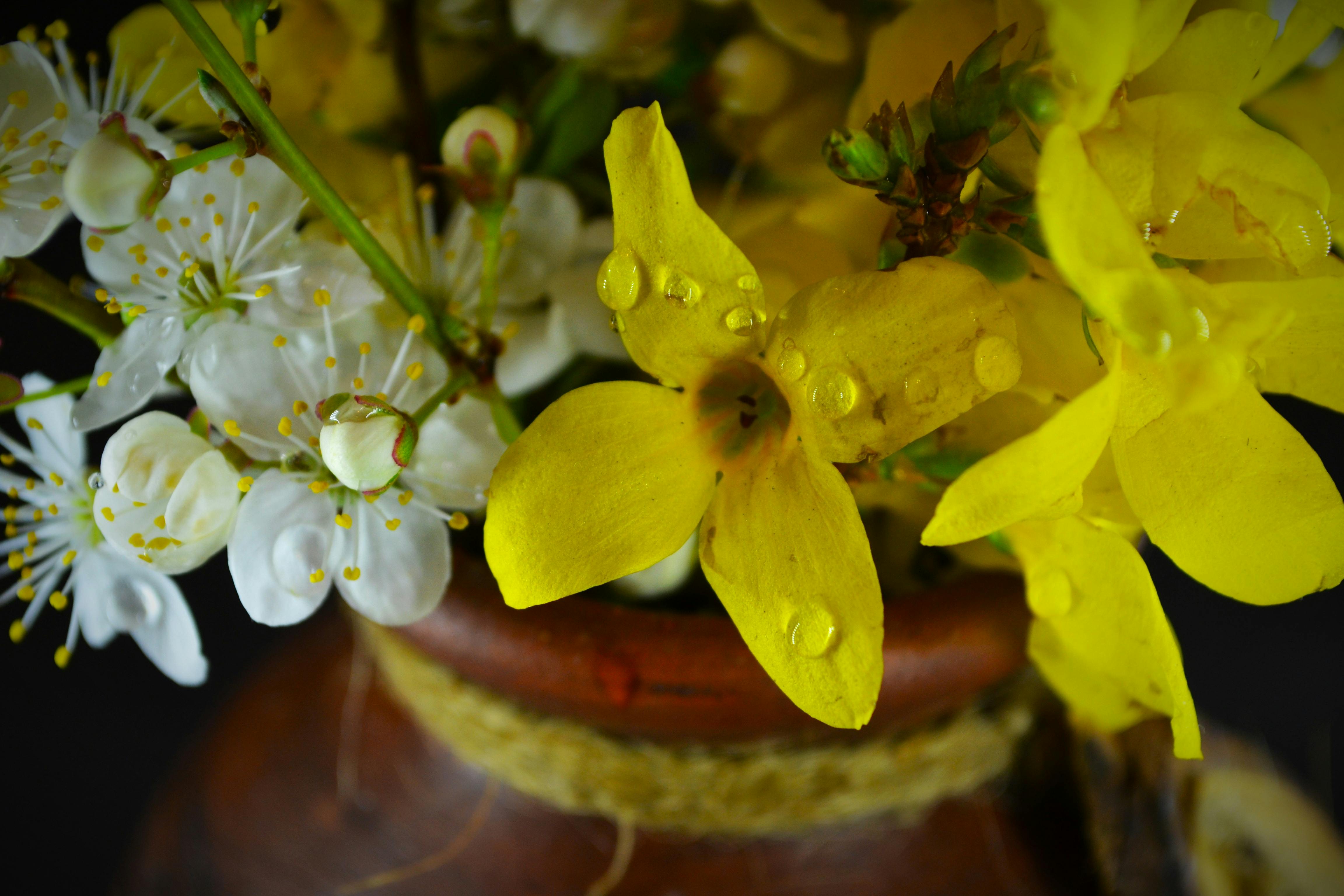 Developer testing VR application in a modern studio with a laptop and headset