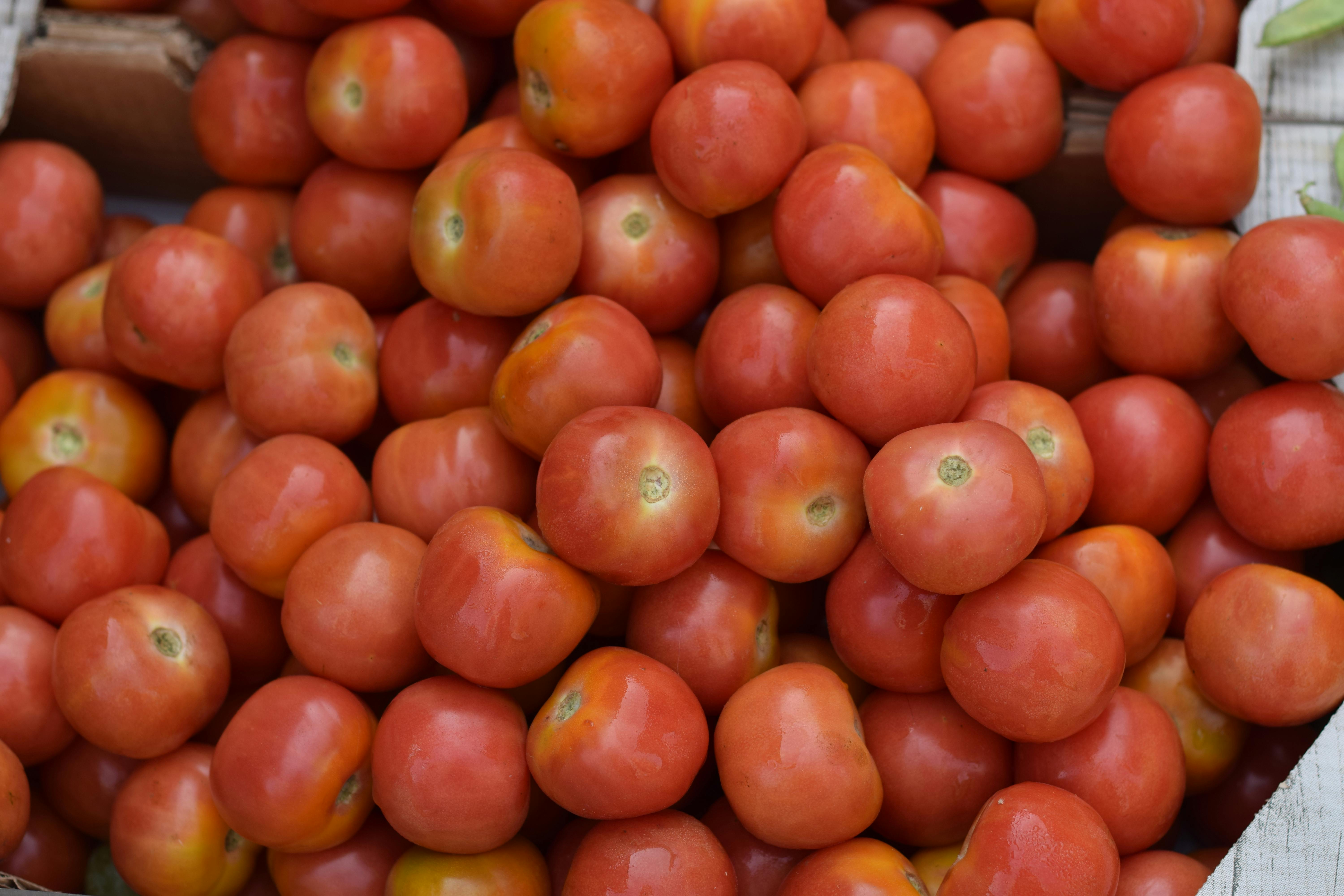 척추와 코어 근육을 보여주는 해부학적 이미지