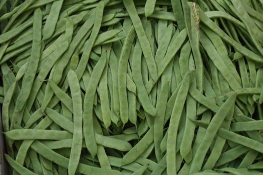 Beans, Snap, Green