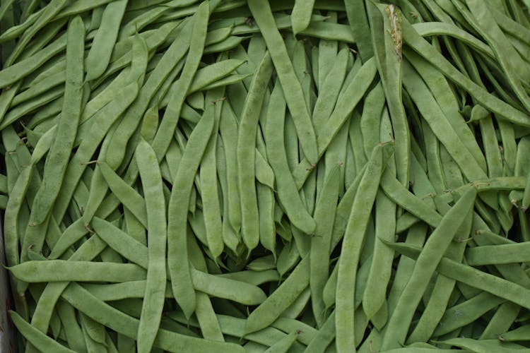 Fresh Organic Snap Beans