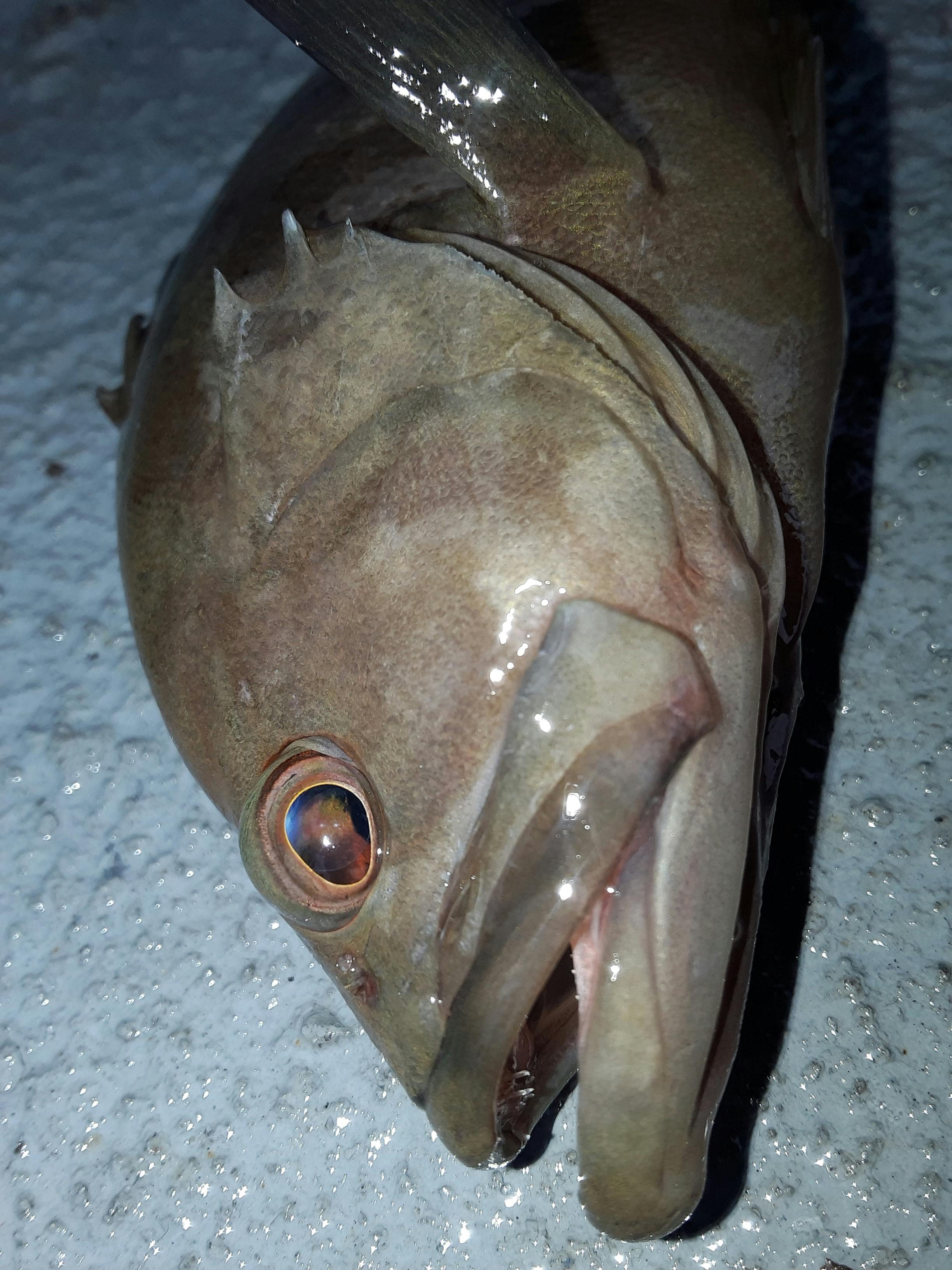 Personne travaillant sur un ordinateur avec une horloge en arrière-plan, symbolisant le timing