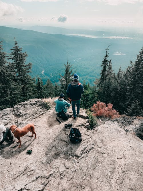 Группа треккеров с собакой, отдыхающей на вершине горы