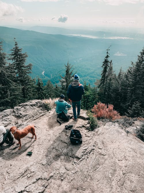 Groupe De Randonneurs Avec Chien Reposant Sur Le Sommet De La Montagne