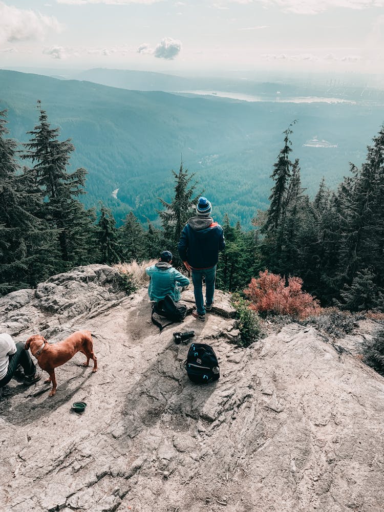 Group Of Trekkers With Dog Resting On Mountain Top