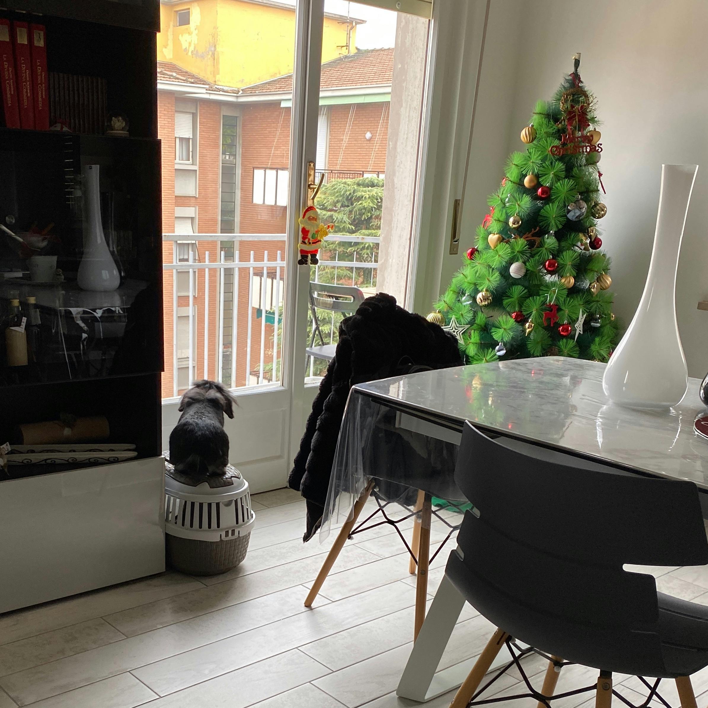 一个人仰卧在瑜伽垫上进行腹式呼吸