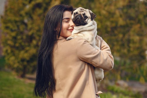 Free Happy woman with pug on hands Stock Photo