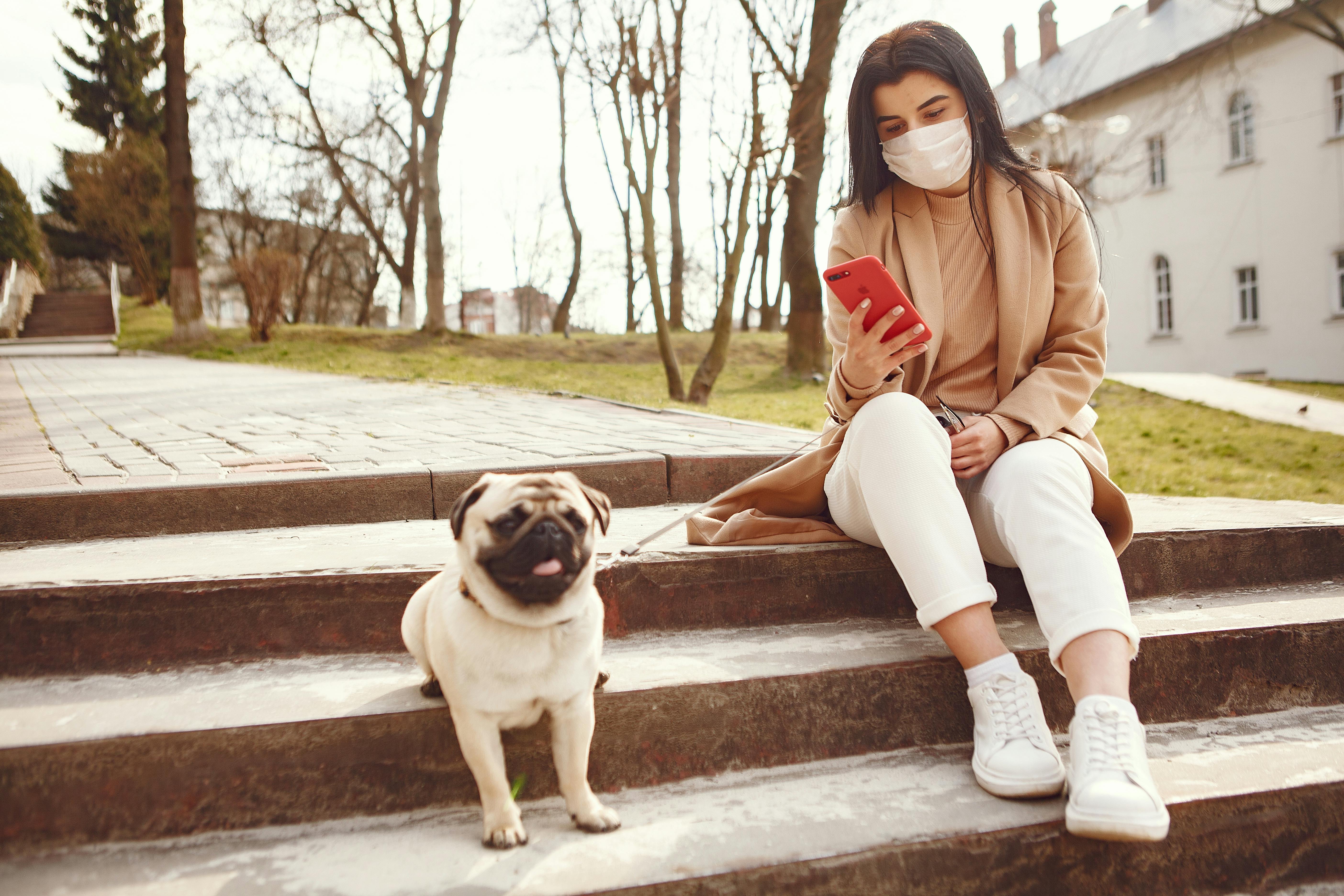 focused woman with smartphone and dog on stairs in square