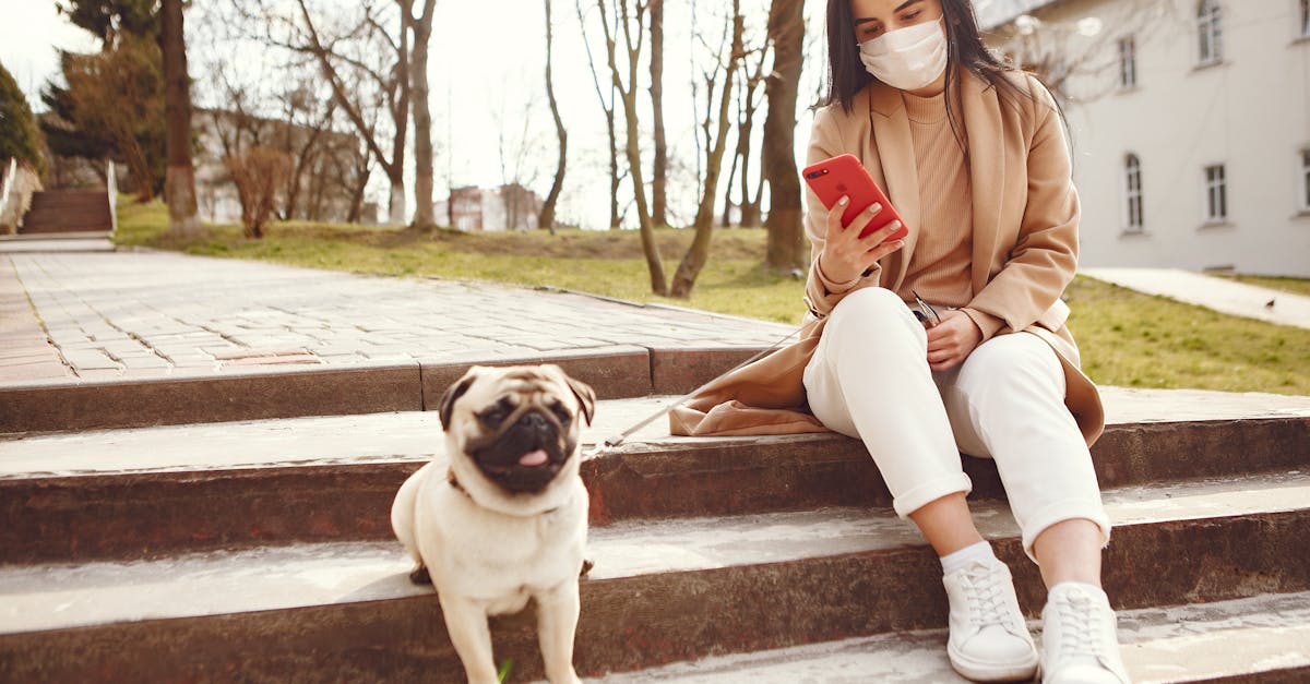 Focused woman with smartphone and dog on stairs in square