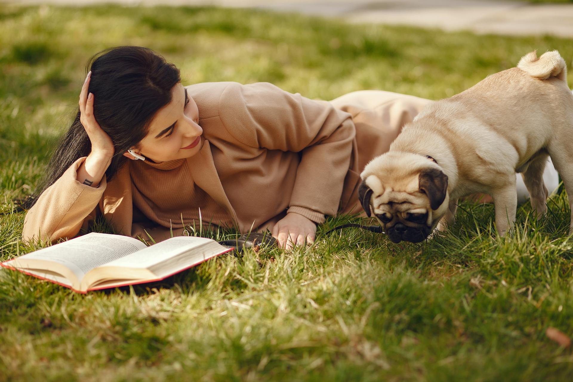 Relaxed female in jacket lying with book on lawn in park while leaning on hand and looking at cute pug