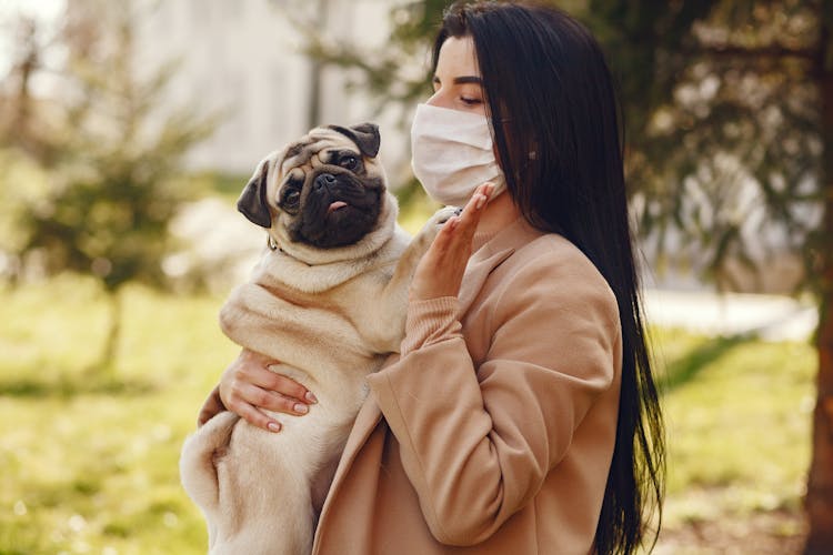 Woman In Brown Coat Holding Fawn Pug