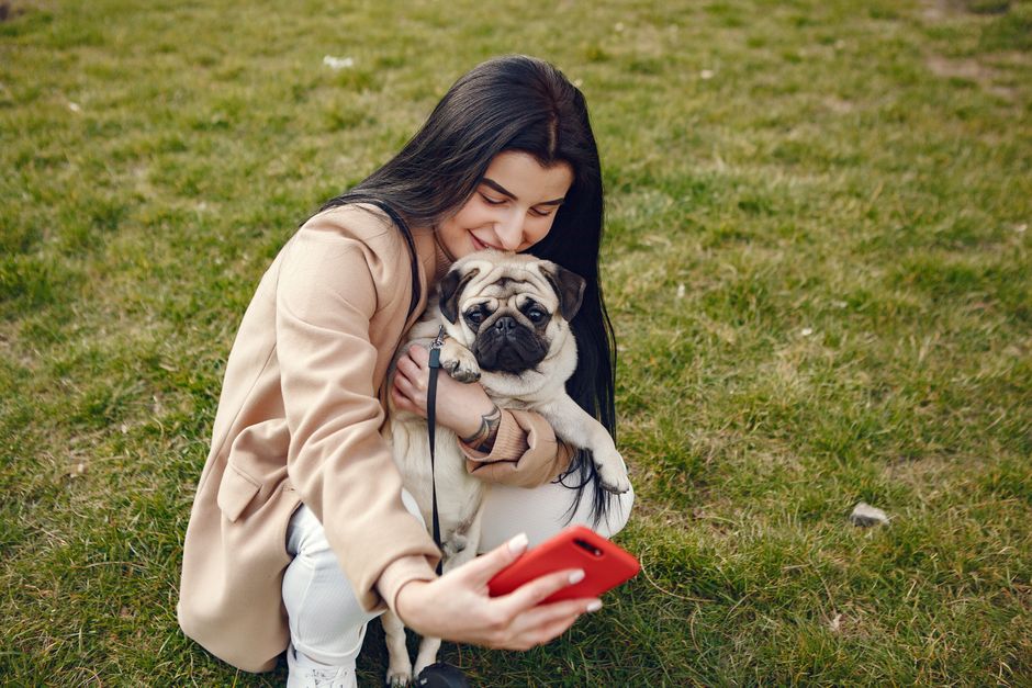 A woman enjoys a sunny day in the park taking a selfie with her cute pug. Outdoors happiness captured.