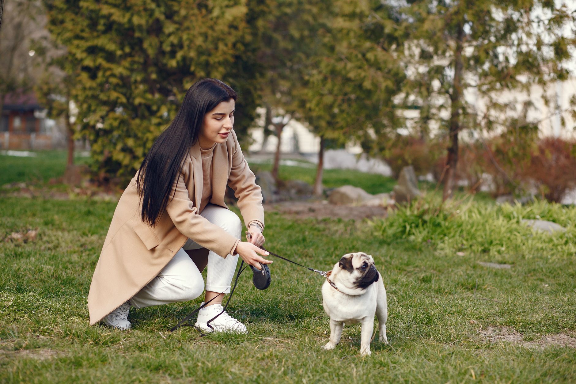 A woman in a beige coat walks her pug in a lush, green park setting.