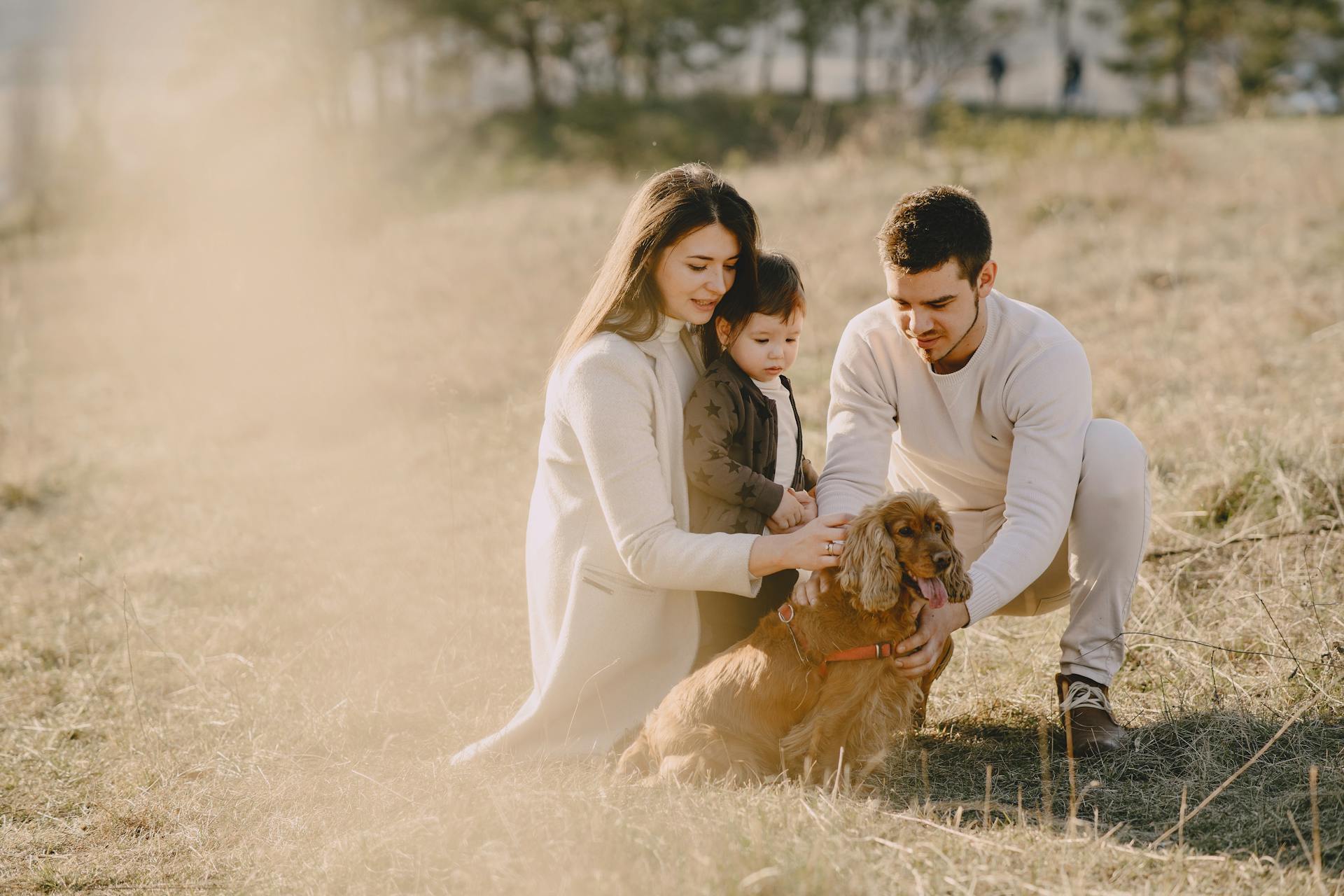 Happy family stroking Cocker Spaniel in countryside