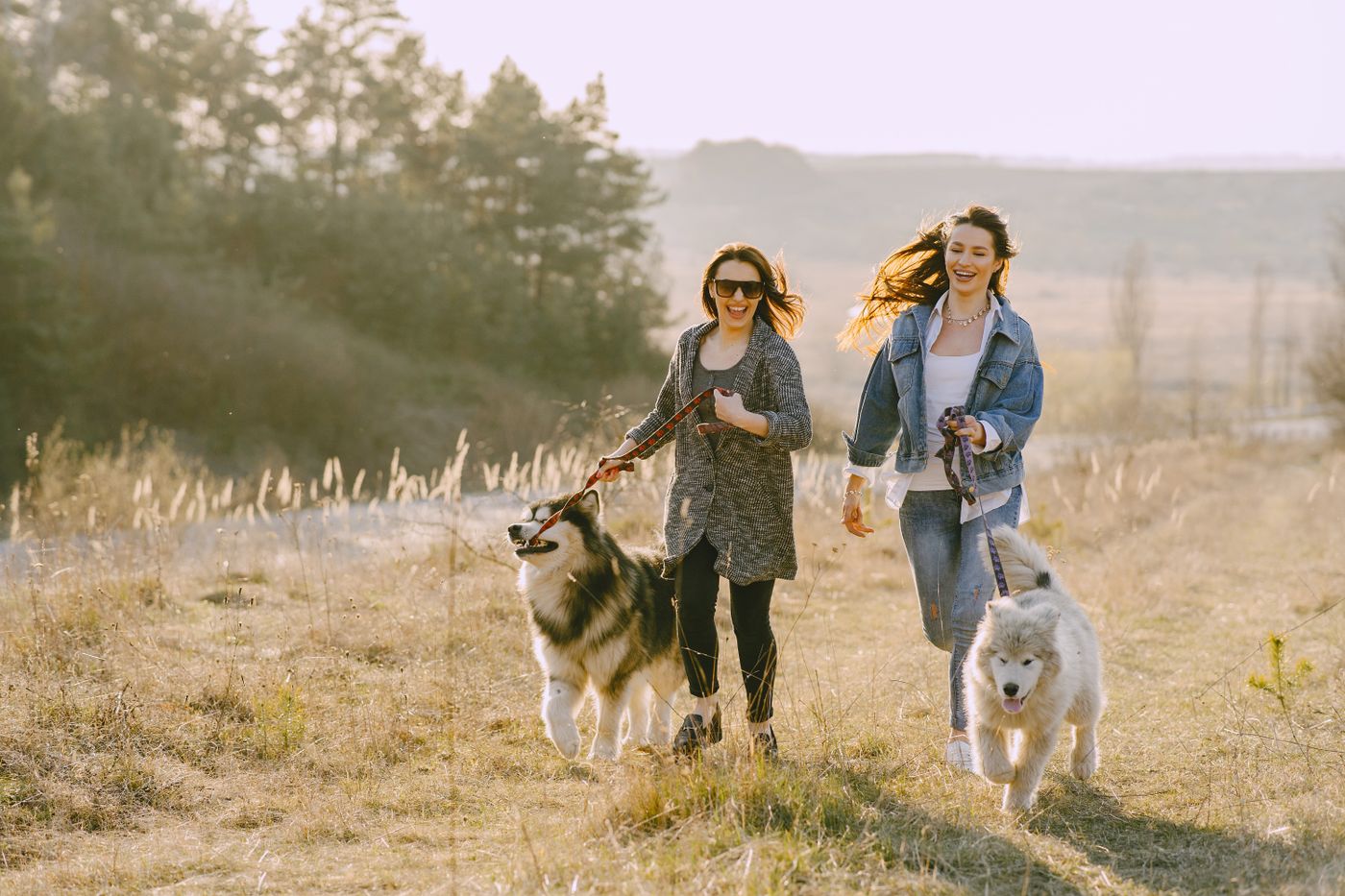 Two people walking their happy dogs outside in a natural open landscape