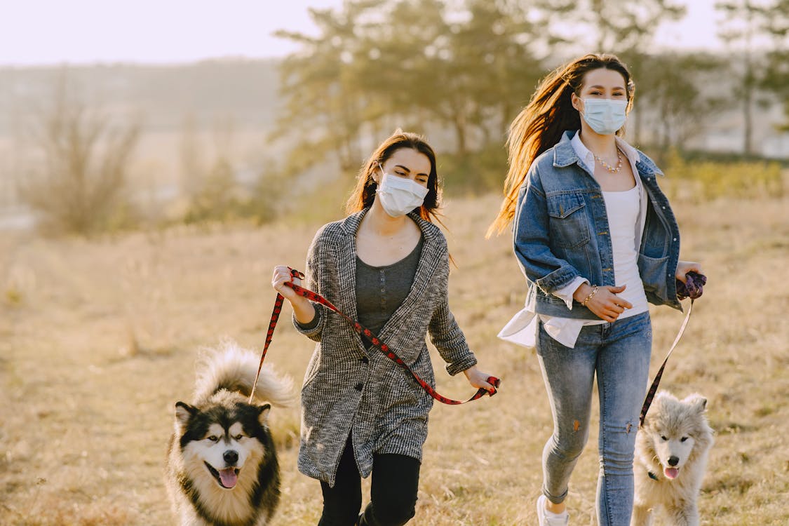 2 women walking dogs on leash 