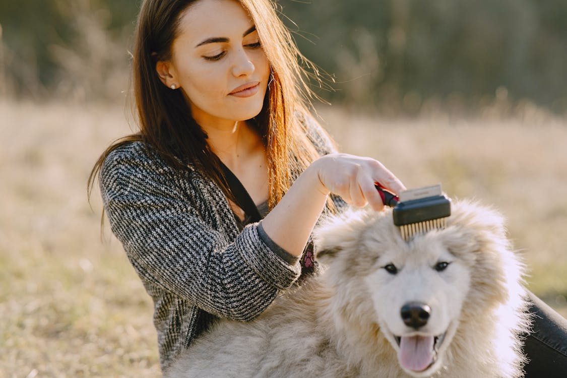 woman brushing a dog 