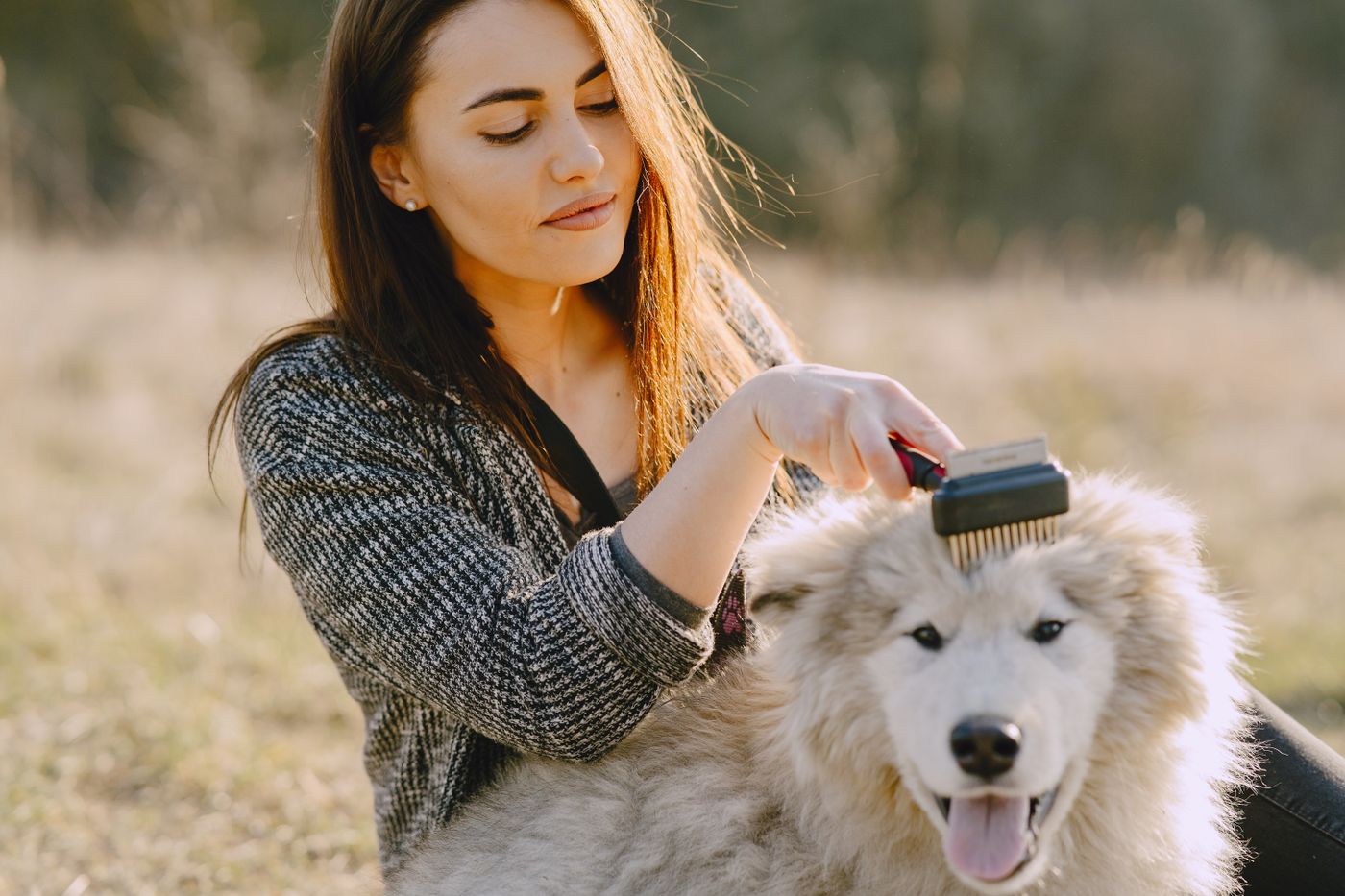 Woman lovingly grooming her dog outdoors in warm natural sunlight