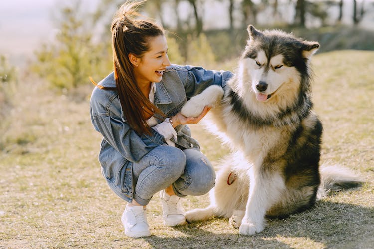 Happy Woman Taking Paw Of Big Husky During Walk