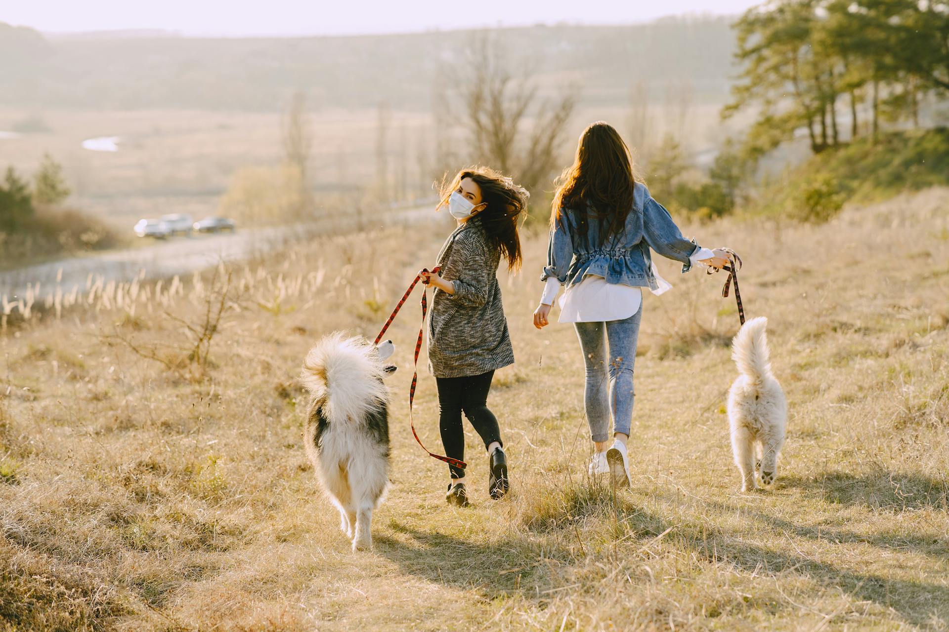 Photo of Women Walking With Their Dogs on Grass Field