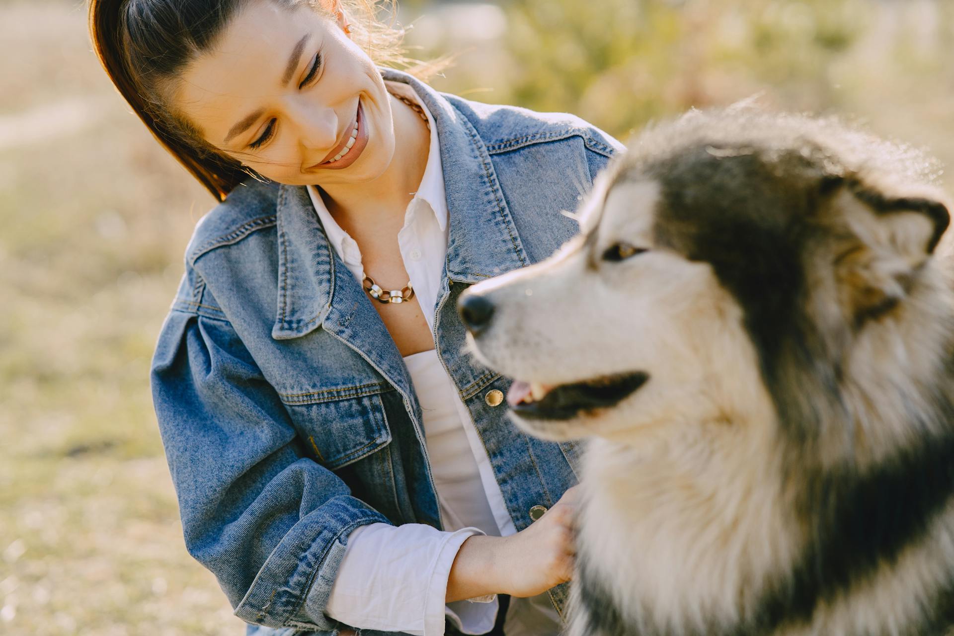 Cheerful woman caressing Husky dog on sunny day