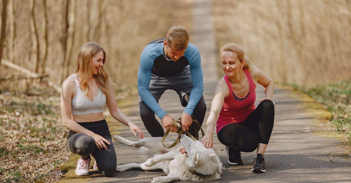 Group of athletes playing on pathway in park with White Shepherd dog on leash while spending time together outdoors during active leisure