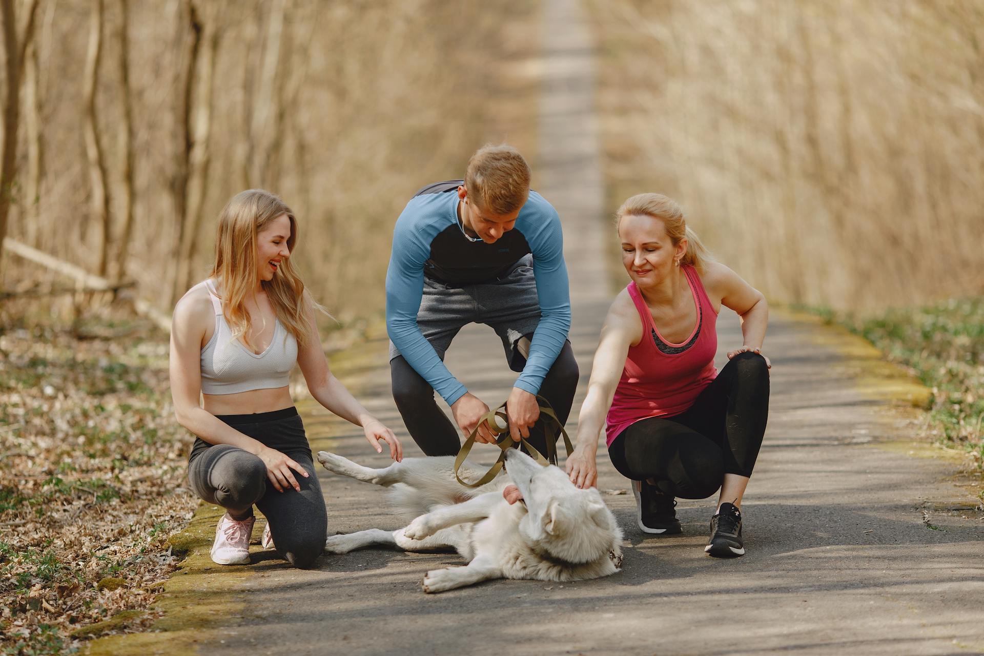 Group of athletes playing on pathway in park with White Shepherd dog on leash while spending time together outdoors during active leisure