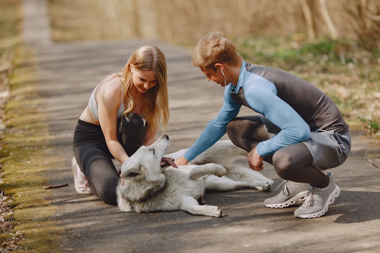 Happy Young Couple In Sportswear Playing With Dog In Park In Spring