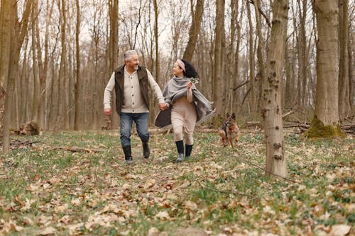 Full length of happy senior husband and wife strolling hand in hand with German Shepherd dog while looking at each other with love spending time together in autumnal park