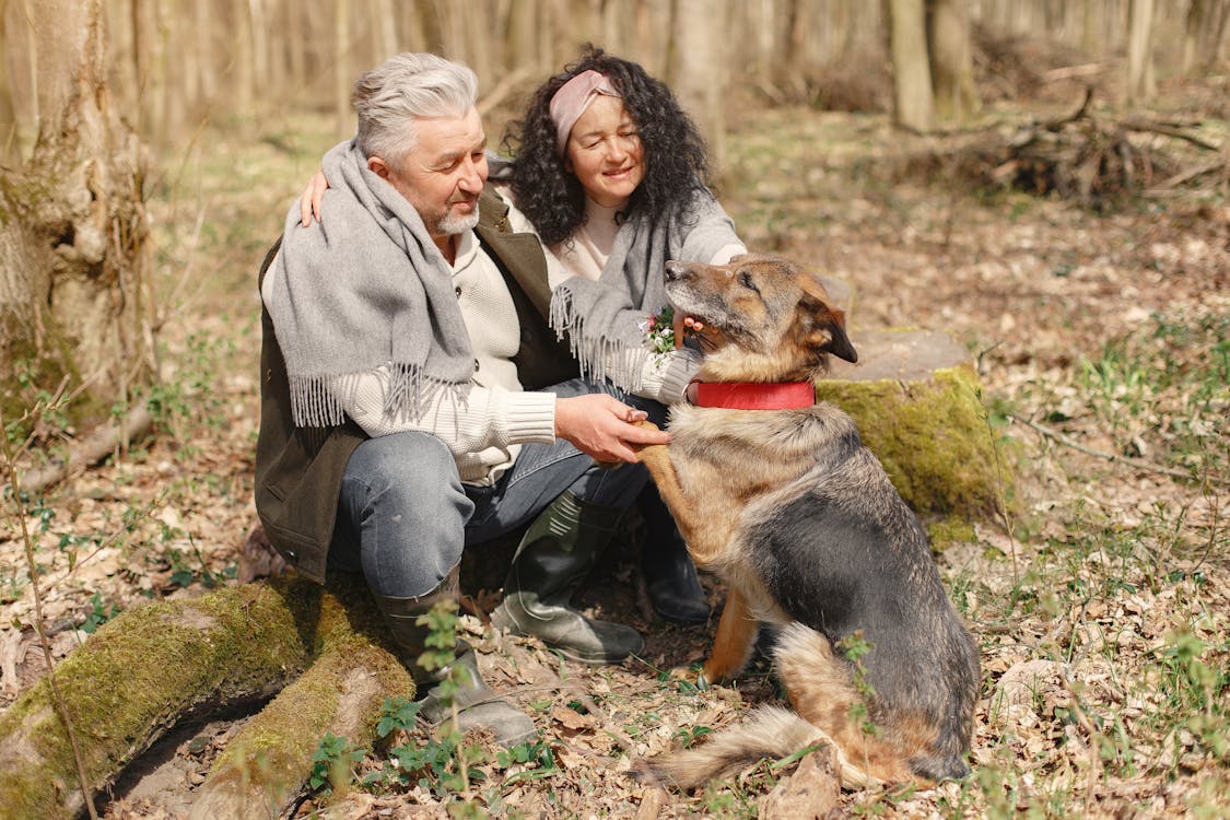 Happy elderly couple strolling in forest with dog