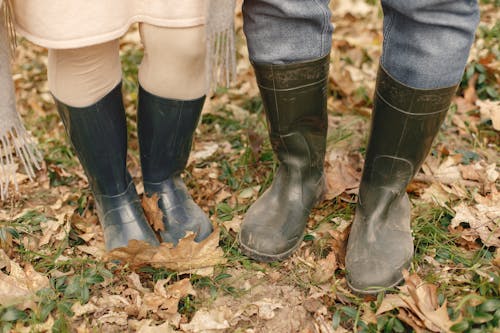無料 ブーツ, 乾いた葉, 乾燥した葉の無料の写真素材 写真素材