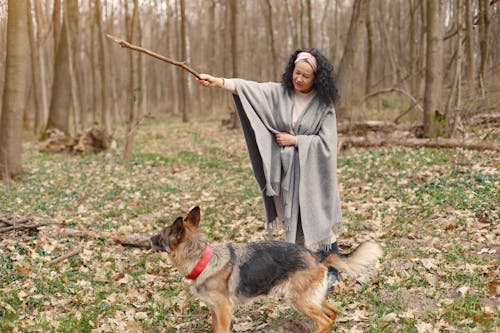Photo of Woman Training Her Dog With a Stick