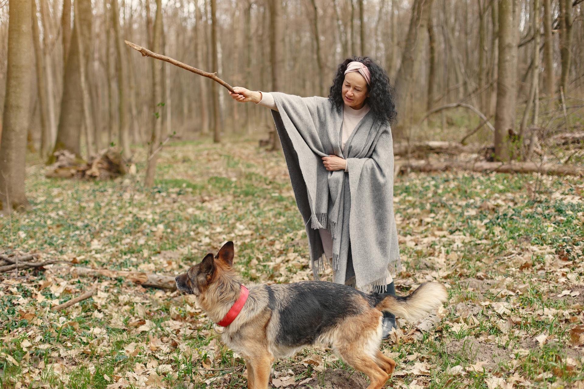 Foto van een vrouw die haar hond met een stok traint