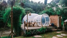 Exterior of cute bubble tent in tropical garden