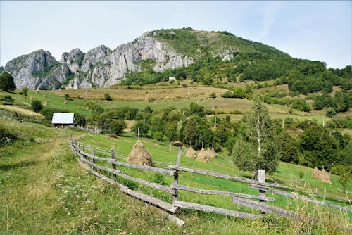 Kostenloses Stock Foto zu alt, atemberaubend, ausgezeichnet