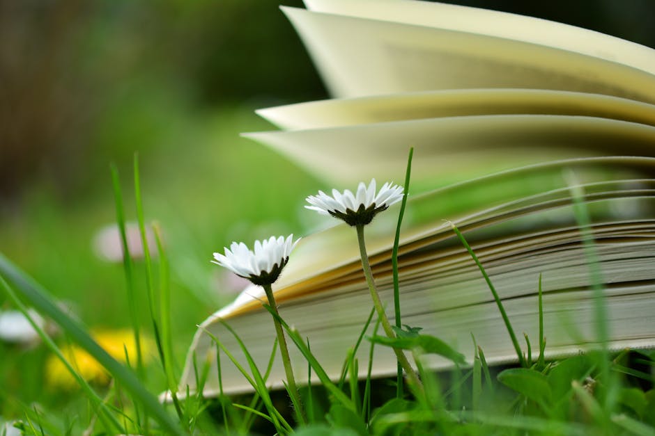 blur, book, book pages, flowers