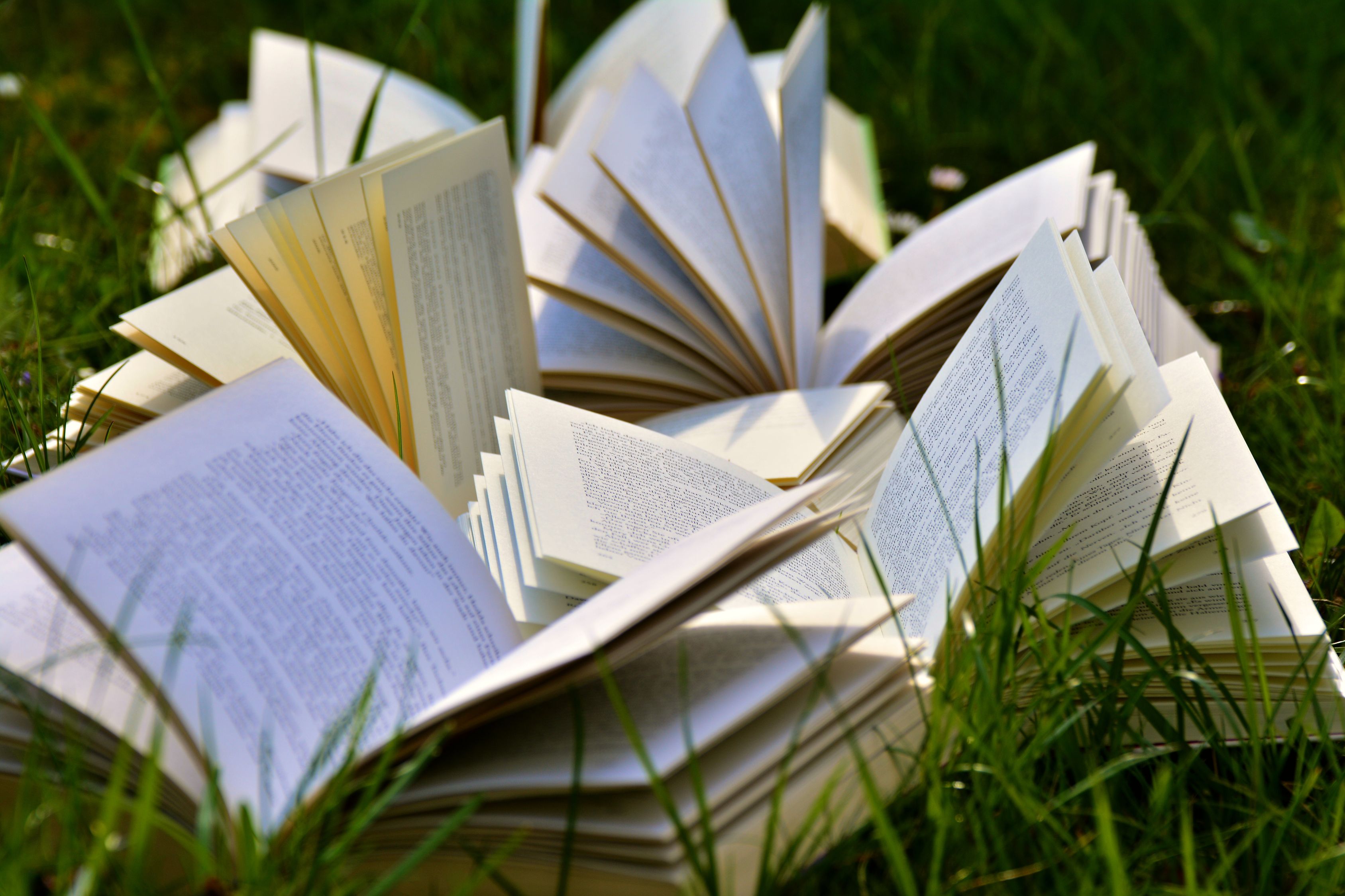 Livres Ouverts Sur Grass Field Photo Gratuite Livres Ouverts Sur Grass Field Photo Gratuite