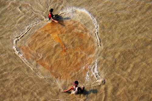 Drone view of anonymous ethnic female catching fish with net in brown lake with rippled water in daylight