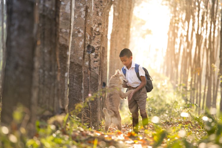 Boy Holding Dog