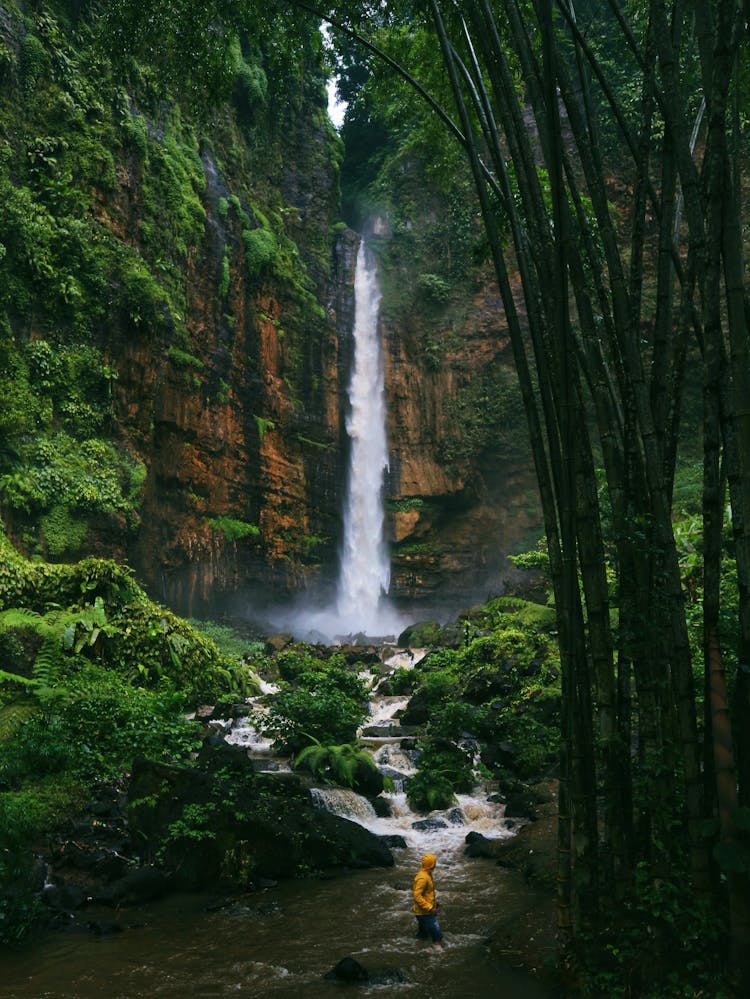 Rapid Waterfall In Green Mountains Near River